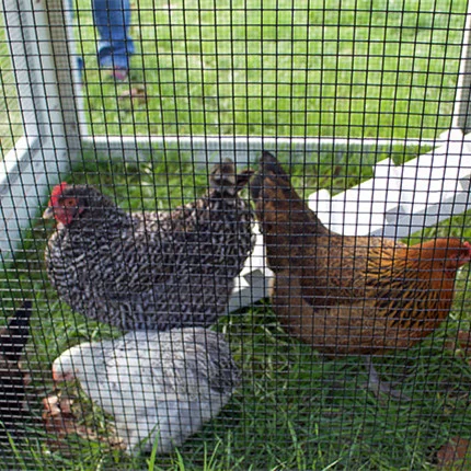 High quality 19 gauge 1/2inch welded wire mesh fence black pvc coated welded wire mesh rolls