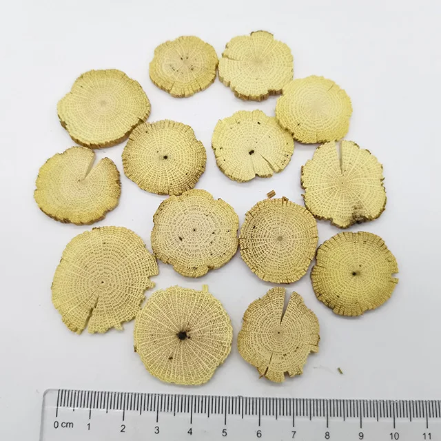 
Bulk Anemone Clematis with factory price 