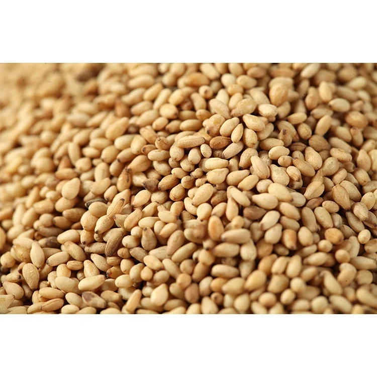 China Factory Wholesale Dried Sesame Seeds Organic Sesame Seeds Sesame Price