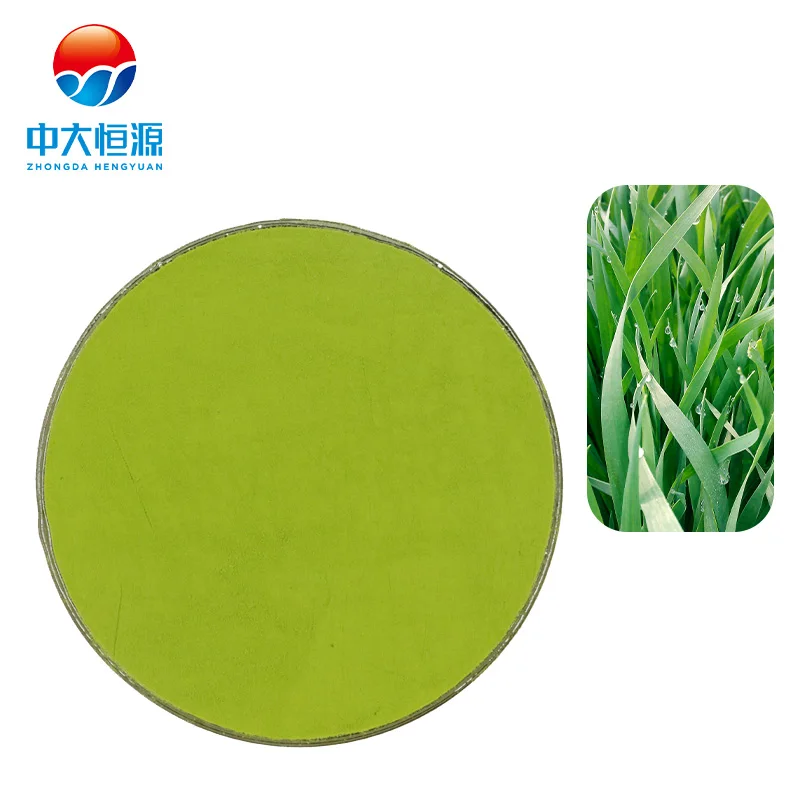 Free Sample Young Green Barley Grass Powder Herbal Extract