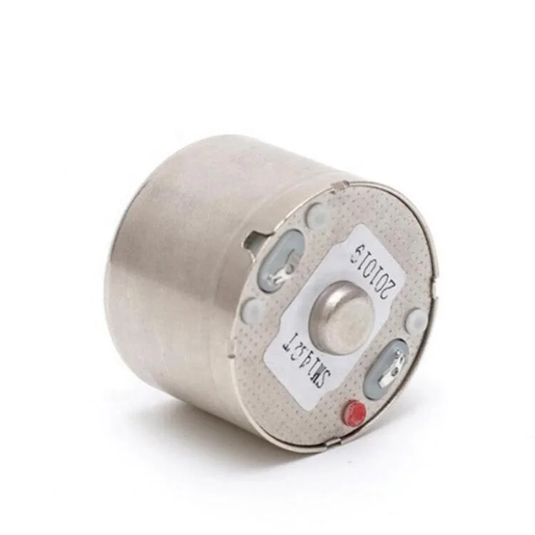 Wholesale 3V 6V 12V 24MM DC Micro Motor 310 Carbon Brush Mnin Motor With High Speed