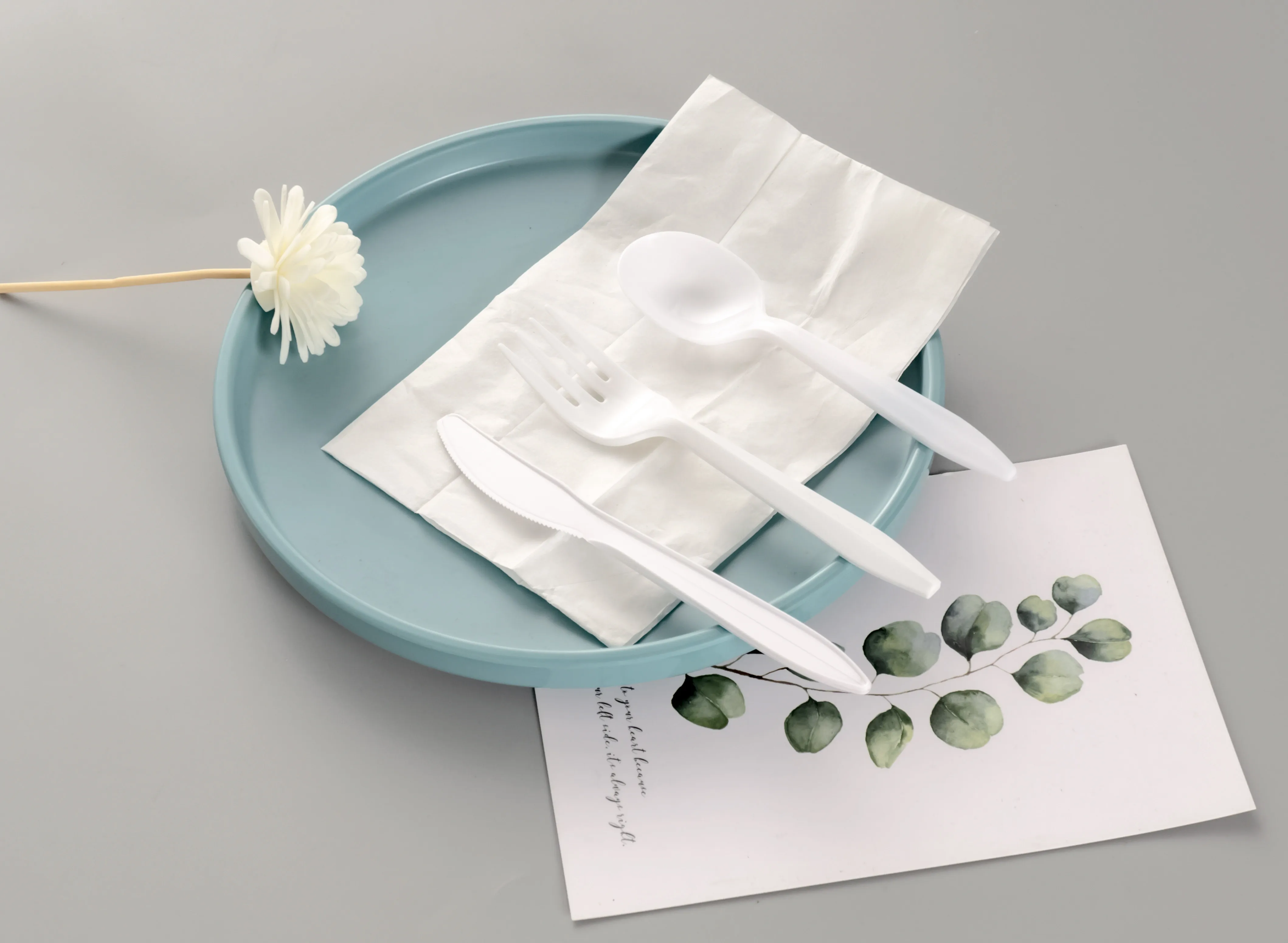 China Factory Custom Restaurant Silverware 2.5g Wrapped Disposable Pp Salad Black Plastik Plastic Forks Pack