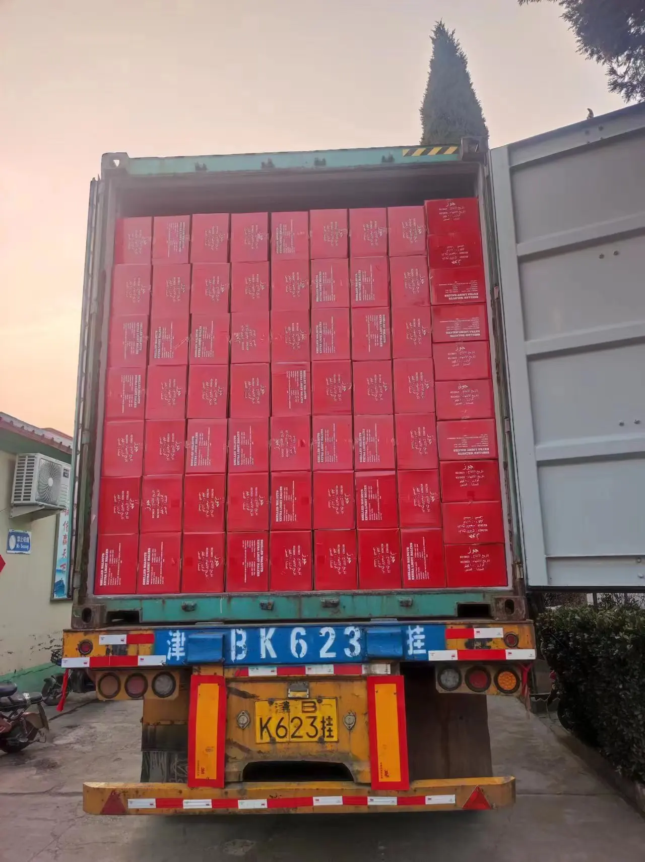 Fresh Dried Fruit Nuts Raw Halves Kernels Fruit Walnut Akhrot 33 new 2 Xinjiang China extra light 95% halves walnut kernel