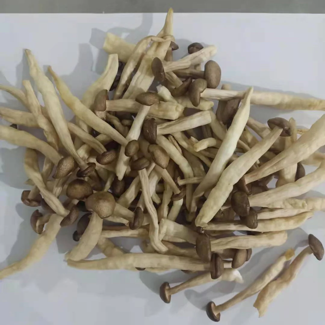 The King Of Quantity Shimeji Mushroom Chips Vacuum Fried Veggies