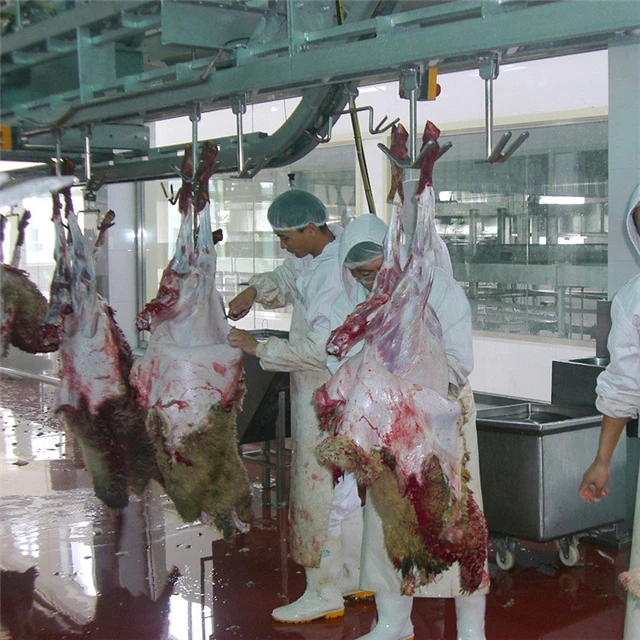 Halal Slaughter House Line Lamb Abattoir With Sheep Meat Processing Cutting Butcher Equipment