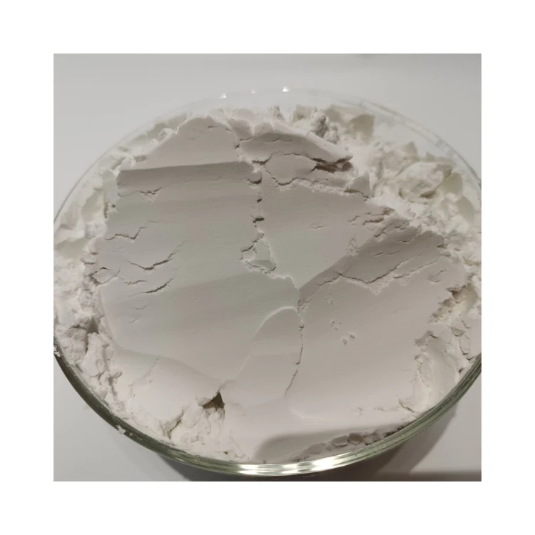 Top Grade Off-White Natural Diatomaceous Earth Powder for Aquaculture from Leading Supplier