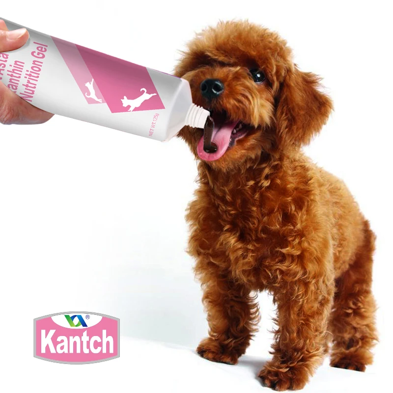 Customize Pet Health Care Pet Nutritional Supplement Gel Asta-Xanthin for Cat 125g