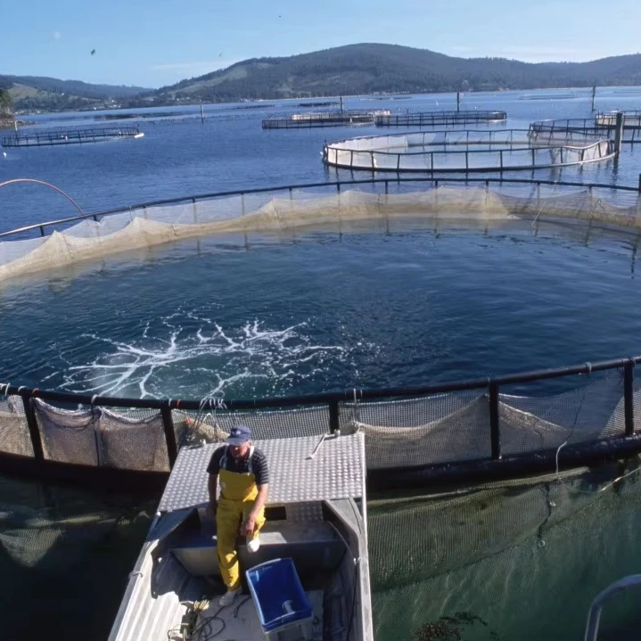 Hdpe Fish farming Cage Competitive Price Durable Aquaculture And Seafood Farms New Style Custom Designs China Manufacturer