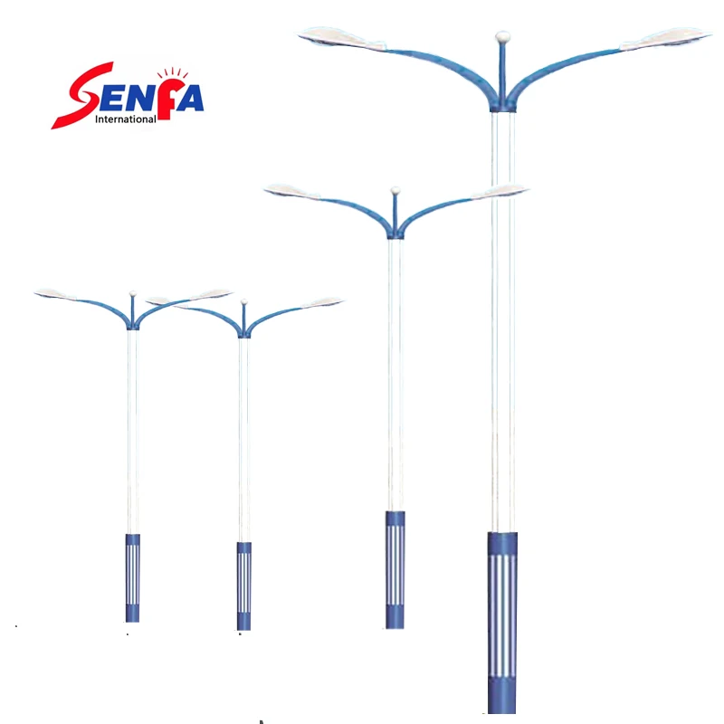 Professional Manufacturer Road Lighting Lamp pole Green Energy Led Waterproof IP65 Street Light pole