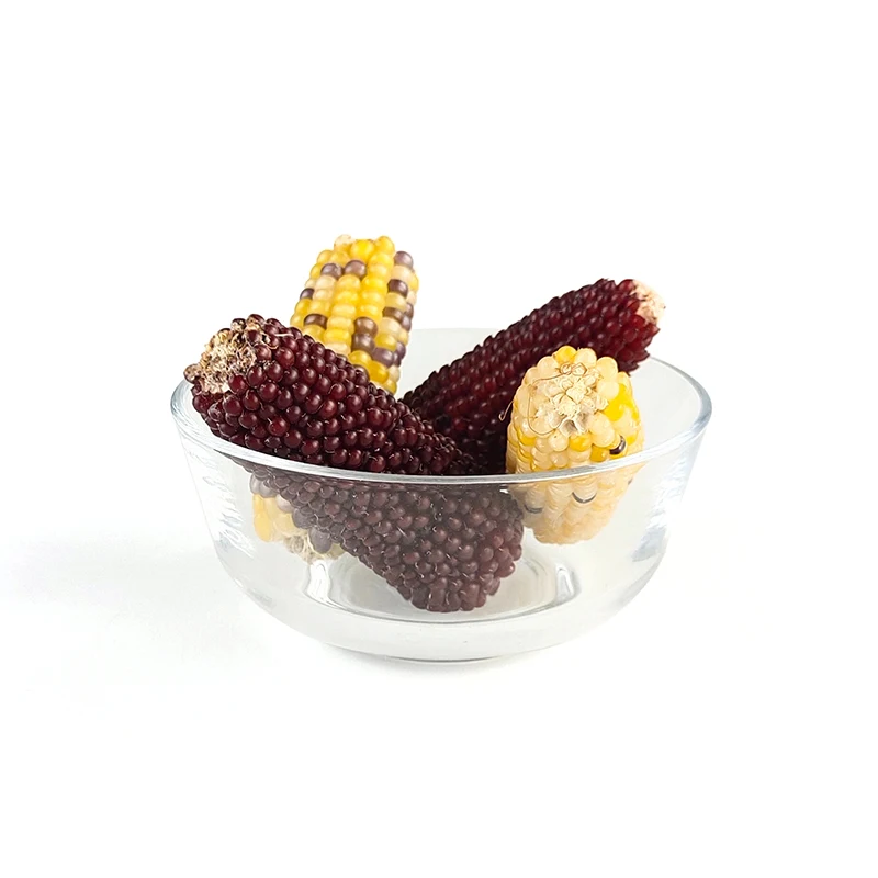 Organic Treats 3 sets in bags Hamster molar stick corn rabbit  guinea pig Sugar glider molar snack rat feed molar stick treat