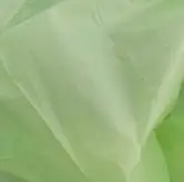 Compostable Cornstarch Pla Pbat Biodegradable T Shirt Plastic Bags Eco Friendly Shopping Bio plastic Bag