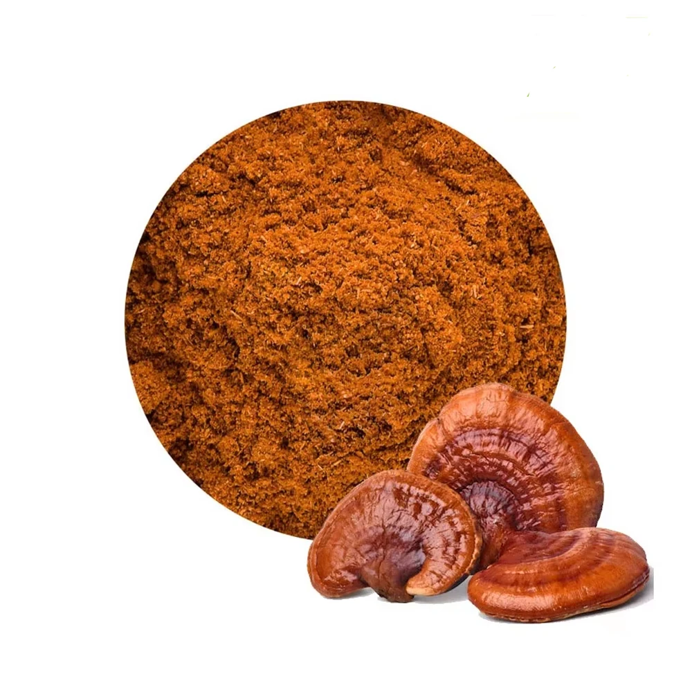 Экстракт полисахаридов Qinshantang Chinzhi Ganoderma Lucidum порошок 40% органический экстракт грибов рейши