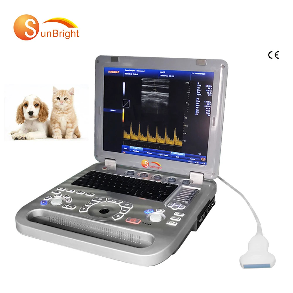 Cheap Laptop 3D doppler Ultrasound Portable Ultrasound Machine Echo SUN-800F