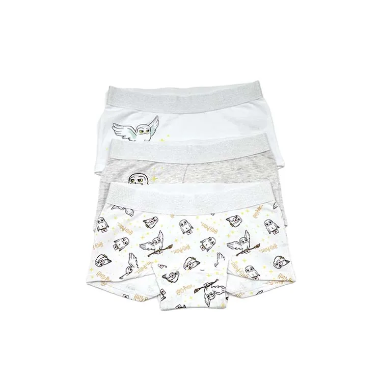 
China Professional Manufacture Ouvert Panties Cotton Women Period Panty Leakproof 