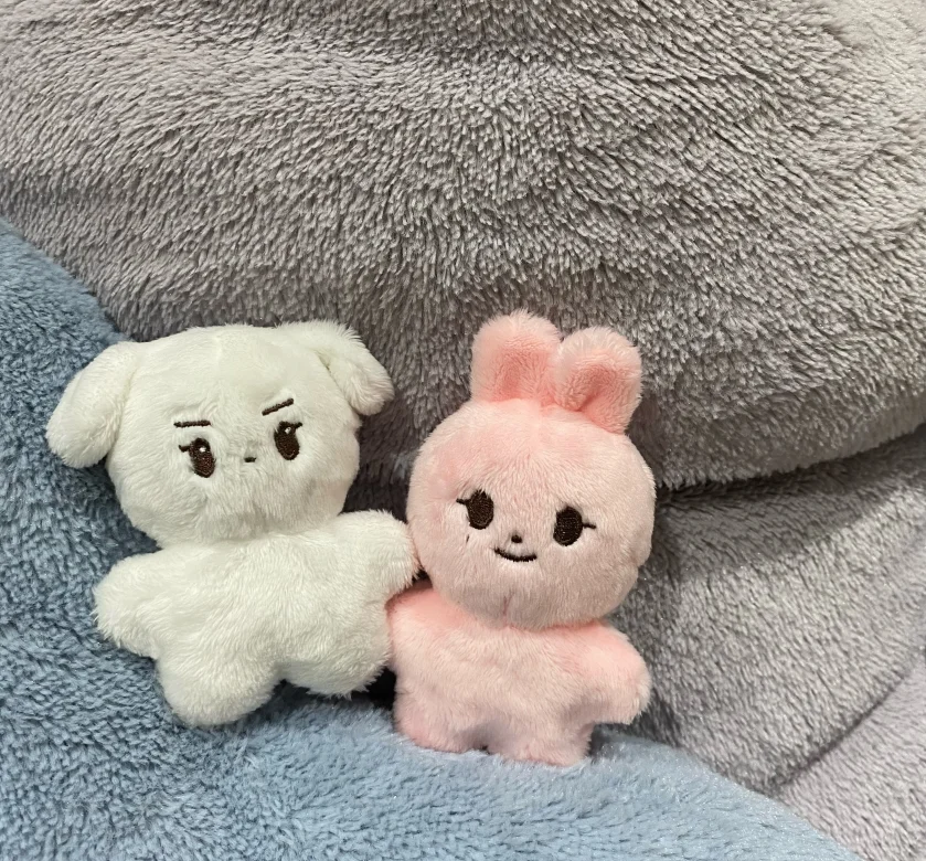 10CM Hand Made Plushie Stuffed Animal Doll Kpop Korean Idol Doll Custom Maker Low Moq