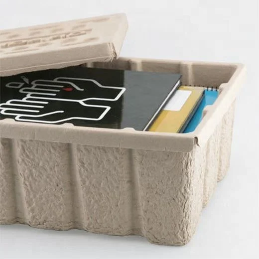 Customized eco-friendly pulp storage box paper tray biodegradable pulp ice cooler/chest box beer container