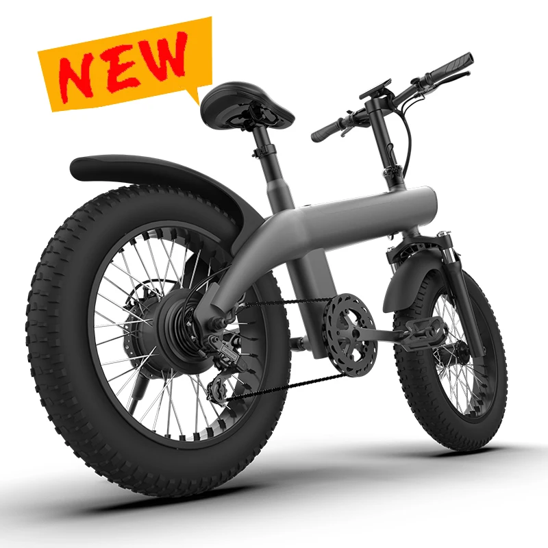 20 Inch Alloy 2 Wheel Hybrid 1600w Mini 2000w 1500w 1300w 48v Kid Child Dirt 1000watt Fat Tire Ebike 250w Tyre Electric Bike
