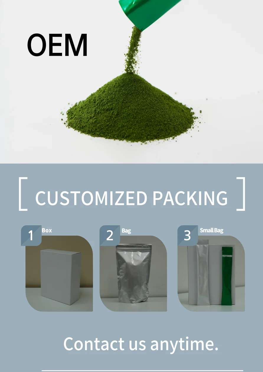 Wholesale organic Japanese plant extract premium super green barley juice and superfood powder