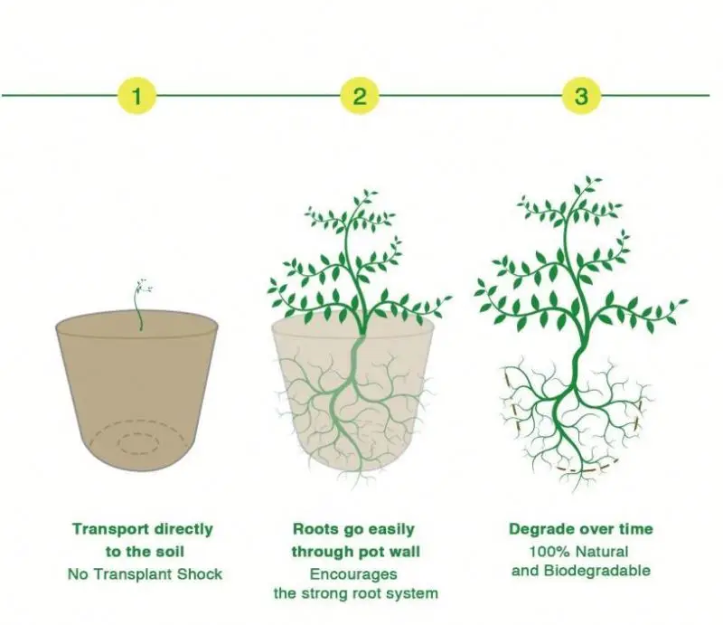 Coconut palm Coco Coir Seedling Starter Pots Tray Sustainable Biodegradable Pots Aternative Peat Pots 20 Plastic Plant Markers