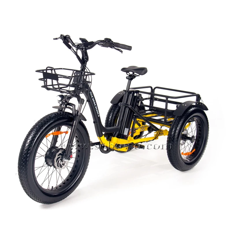 The best lithium battery powered pedal assist fat tire electric trike tricycle for the elderly
