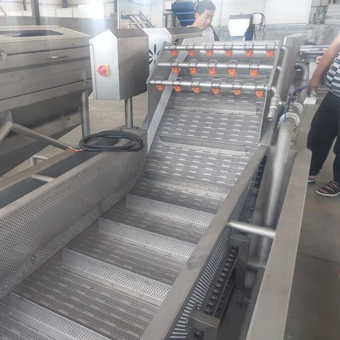 Fruit and Vegetable Air Bubble Washing Machine Eggplant Vegetable Washer Machine with Water Spray