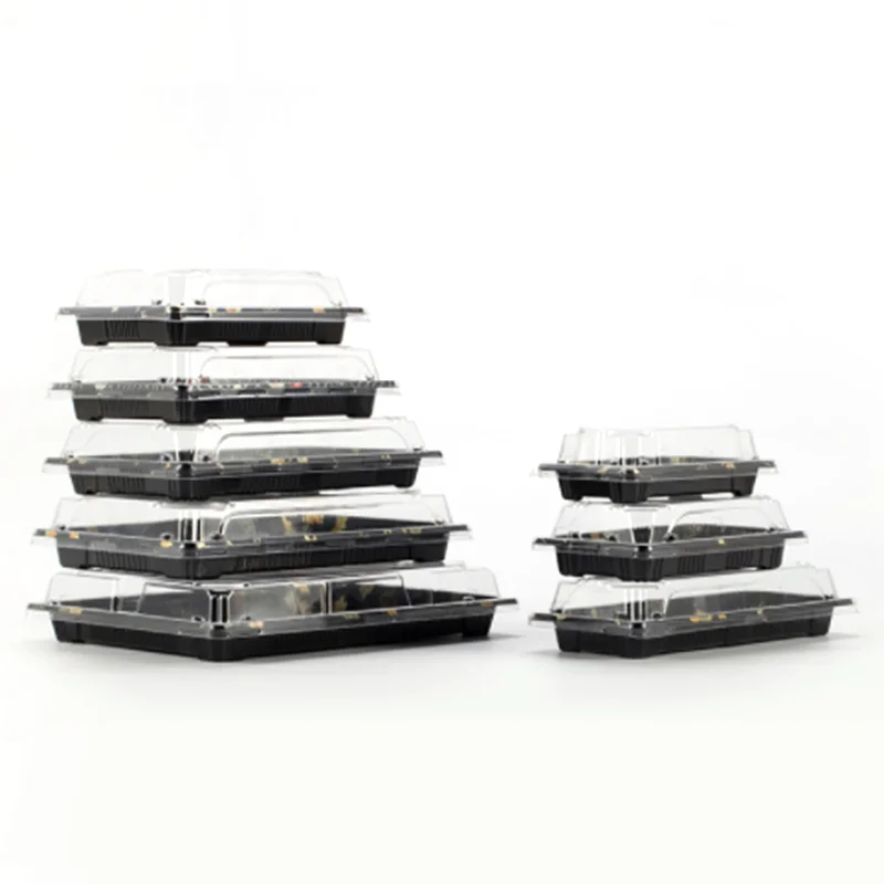 Window Storage Sushi Tray Transparent High Quality Plastic Customized Food Square ISO Kw 7 Days Sushi Containers Plastic Fancy