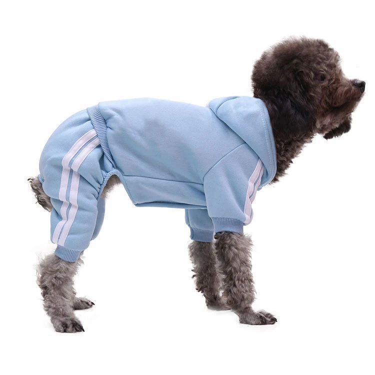 Modern Pet Apparel Winter Luxury Designer Dog Clothes Leisure Manufacturer Fashions Designer Dog Hoodie