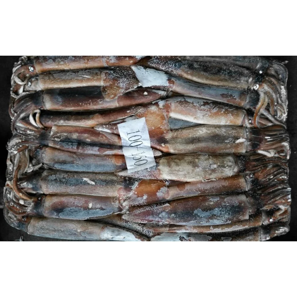 Low price fresh sea frozen ocean squid illex whole round squid frozen raw squid