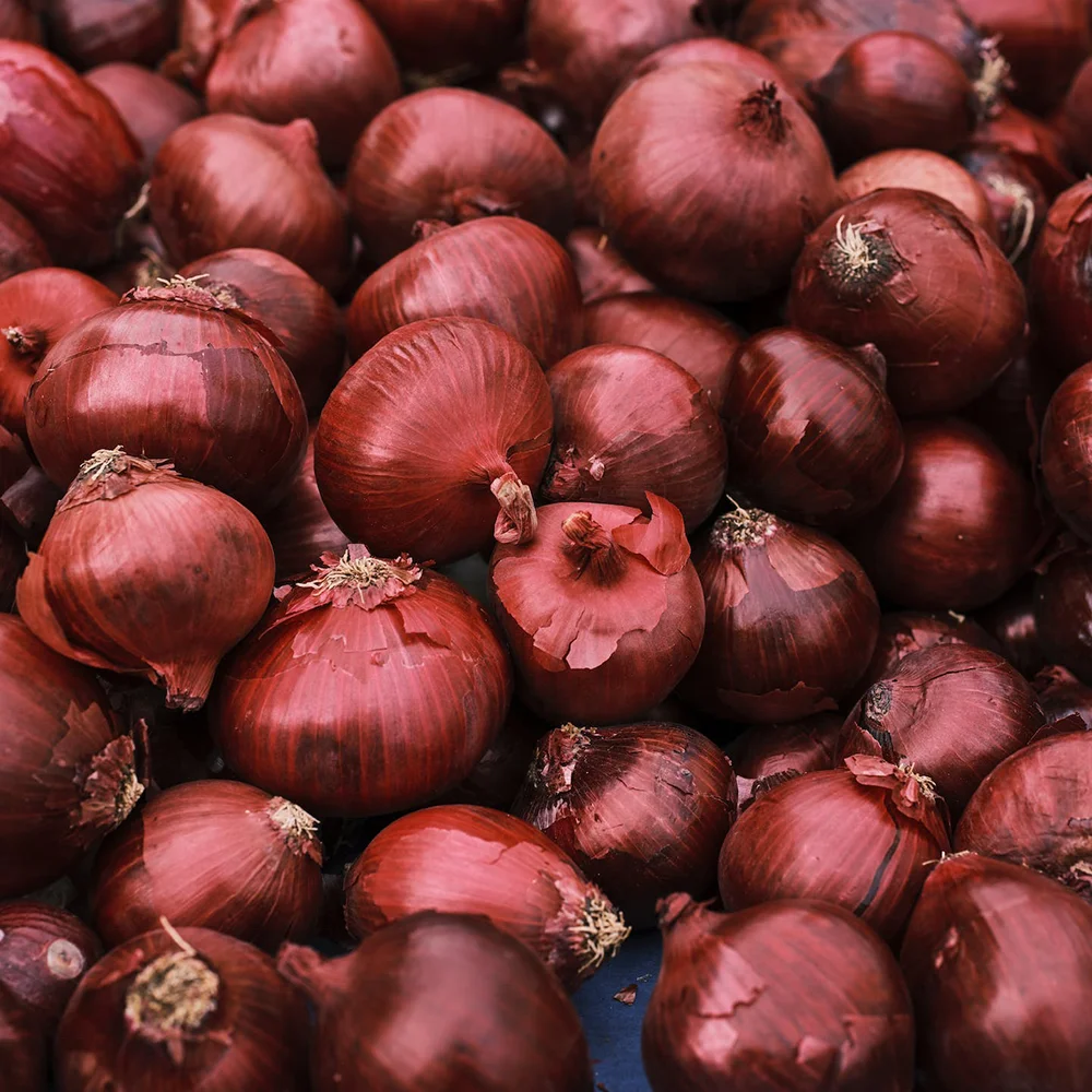 2023 brand fresh peeled onion price red and yellow onion peeled Chinese onions fresh vegetables for sales