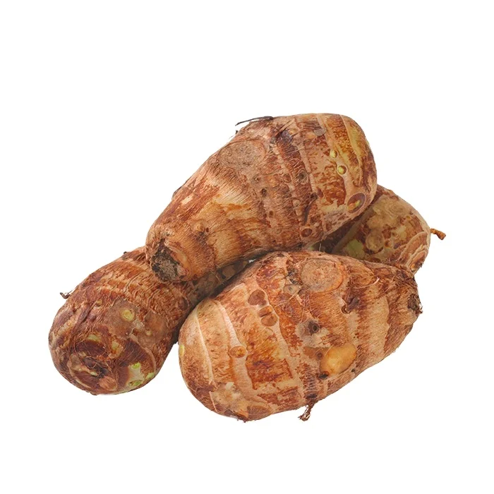 China Fresh Taro Vegetable Food Importer Chinese Supplier Wholesale Export Taro New Crop