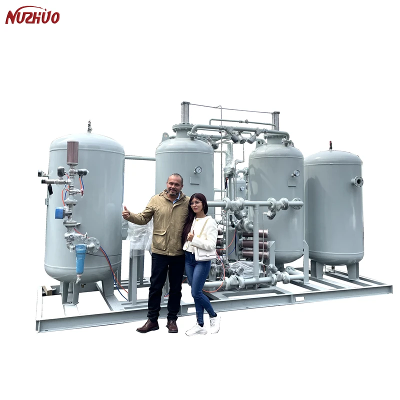 NUZHUO Industry Psa Nitrogen Generator Equipment Factory Price N2