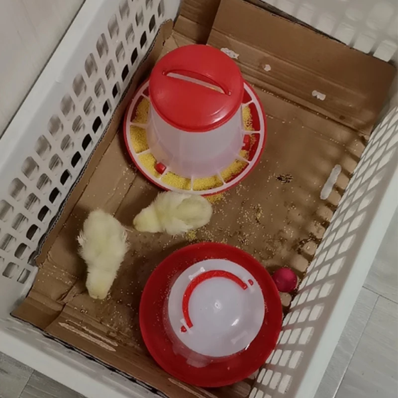 Wholesale poultry drinker feeder automatic chicken feeders and drinkers 1.5kg 3kg 6kg 9kg 12kg poultry feeder