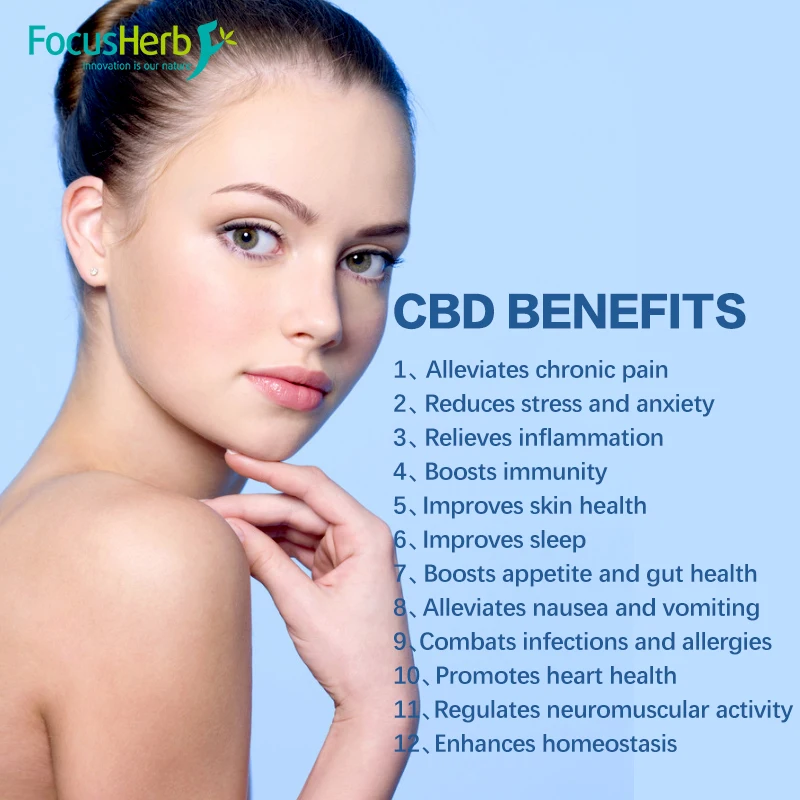 
FocusHerb Hemp Oil CBD Oil Full Spectrum Hemp Flower 