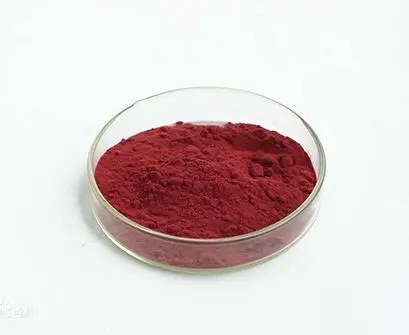 OEM Blueberry Powder Blueberry fruit Powder enriched anthocyanin powder