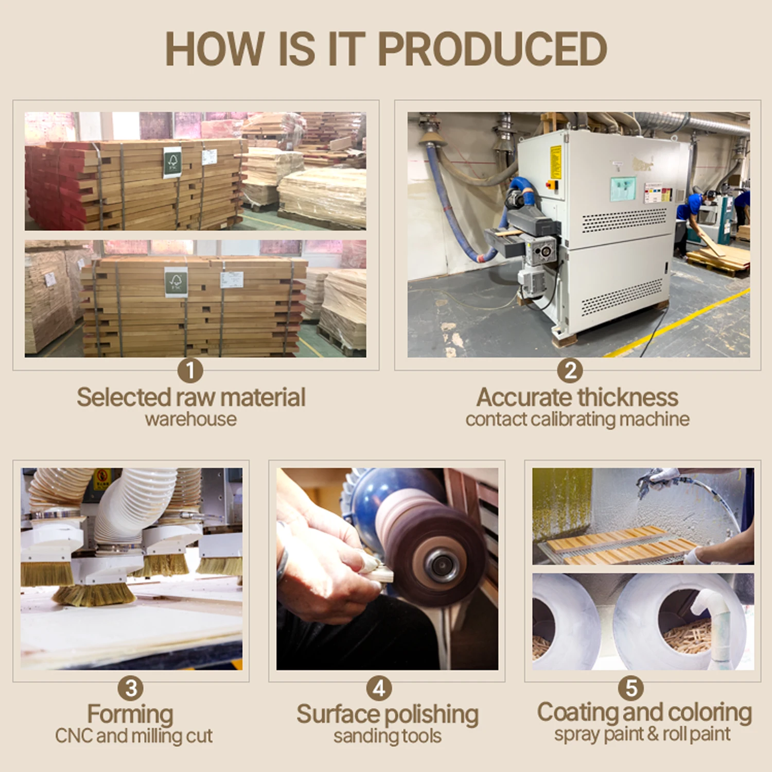 New Educational Toy Kit Plants And Flowers Specimen Making and Saving Kit Kids Science Experimental Toy