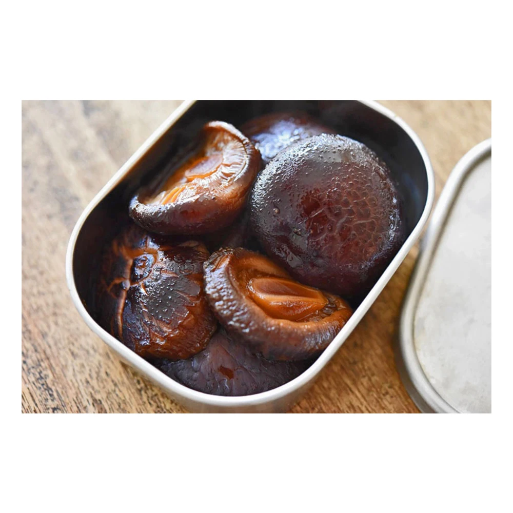 
Japanese delicious premuin yummy dry shiitake mushroom logs 