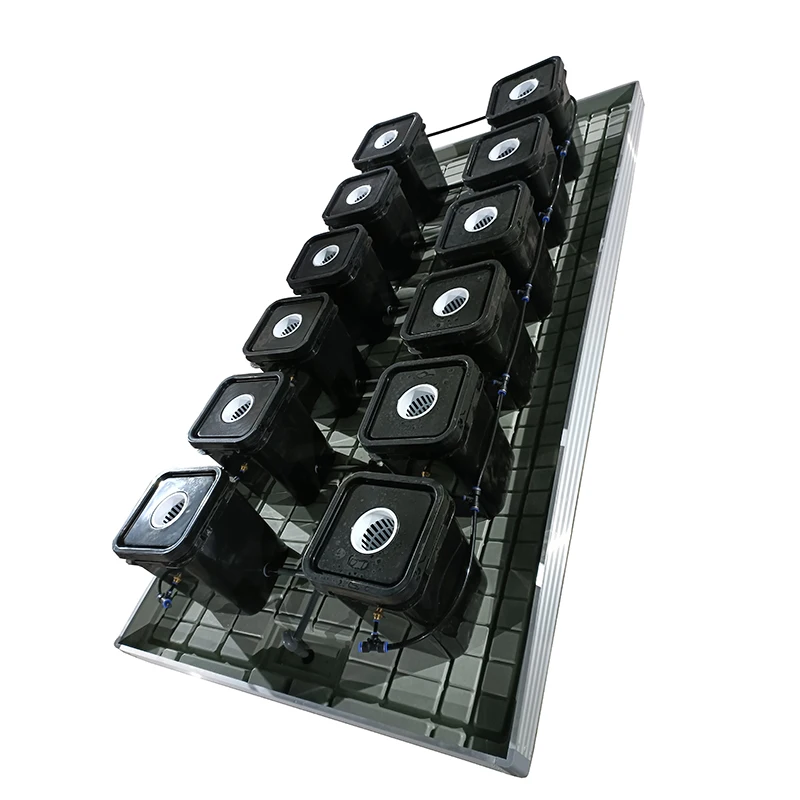 DWC Growing System Hydroponic Clone Bucket For Indoor Plant