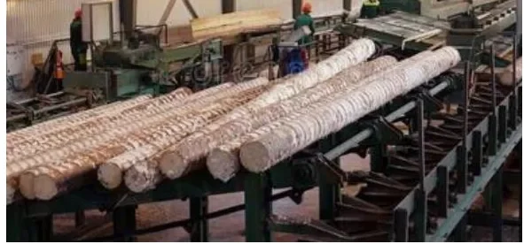 MB Manufacturers supply MM1524A vertical sponge sancder woodworking Small grinding equipment