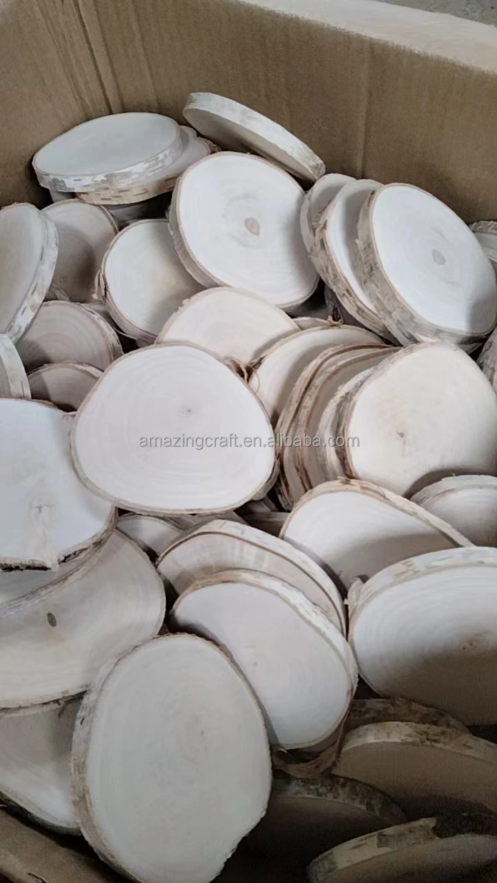 Round Wood Slice Birch Natural Unfinished with Tree Bark for DIY Crafts,Rustic Home Decor