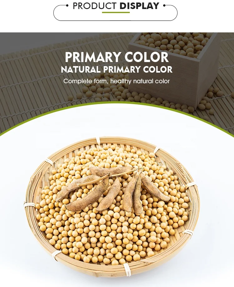 Vacuum Packed Natural Non-Gmo Soybeans Soya Bean Soybean