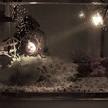 LED air stone for aquarium equipment