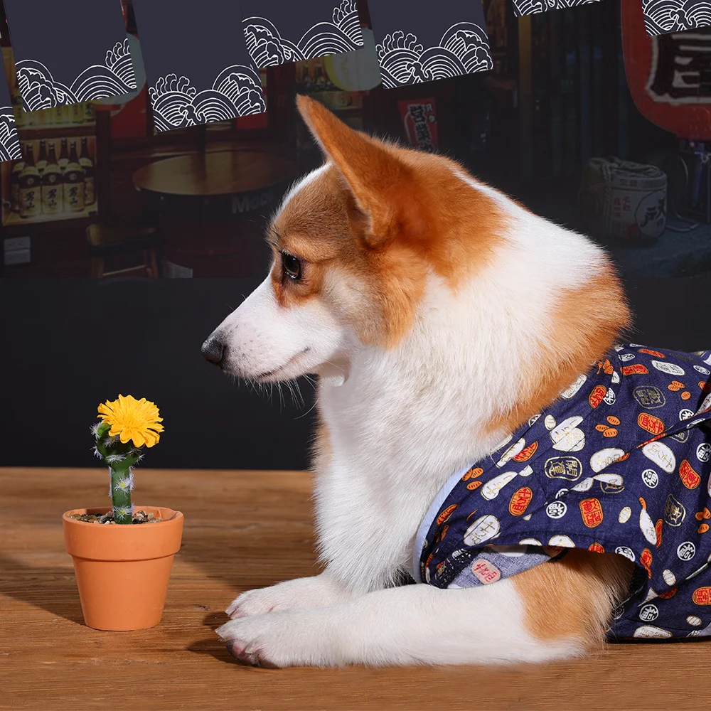 Lucky Pet Spring Clothing Corgi Kimono Cute Japan Style Apparel Clothes