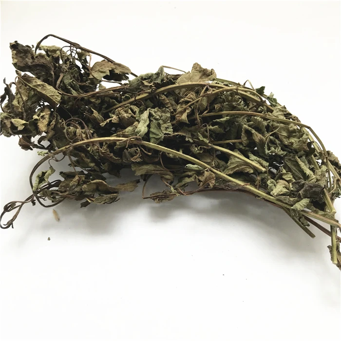 ning meng xiang feng ye 2020 new harvest herb spices dried lemon balm leaves