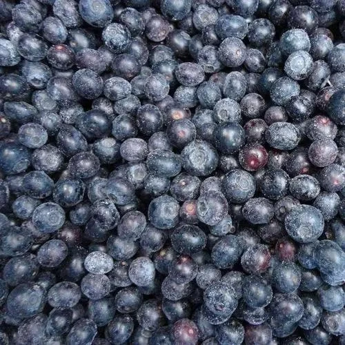 IQF Frozen Blueberry  Wholesale Frozen Fruits Frozen Blueberries