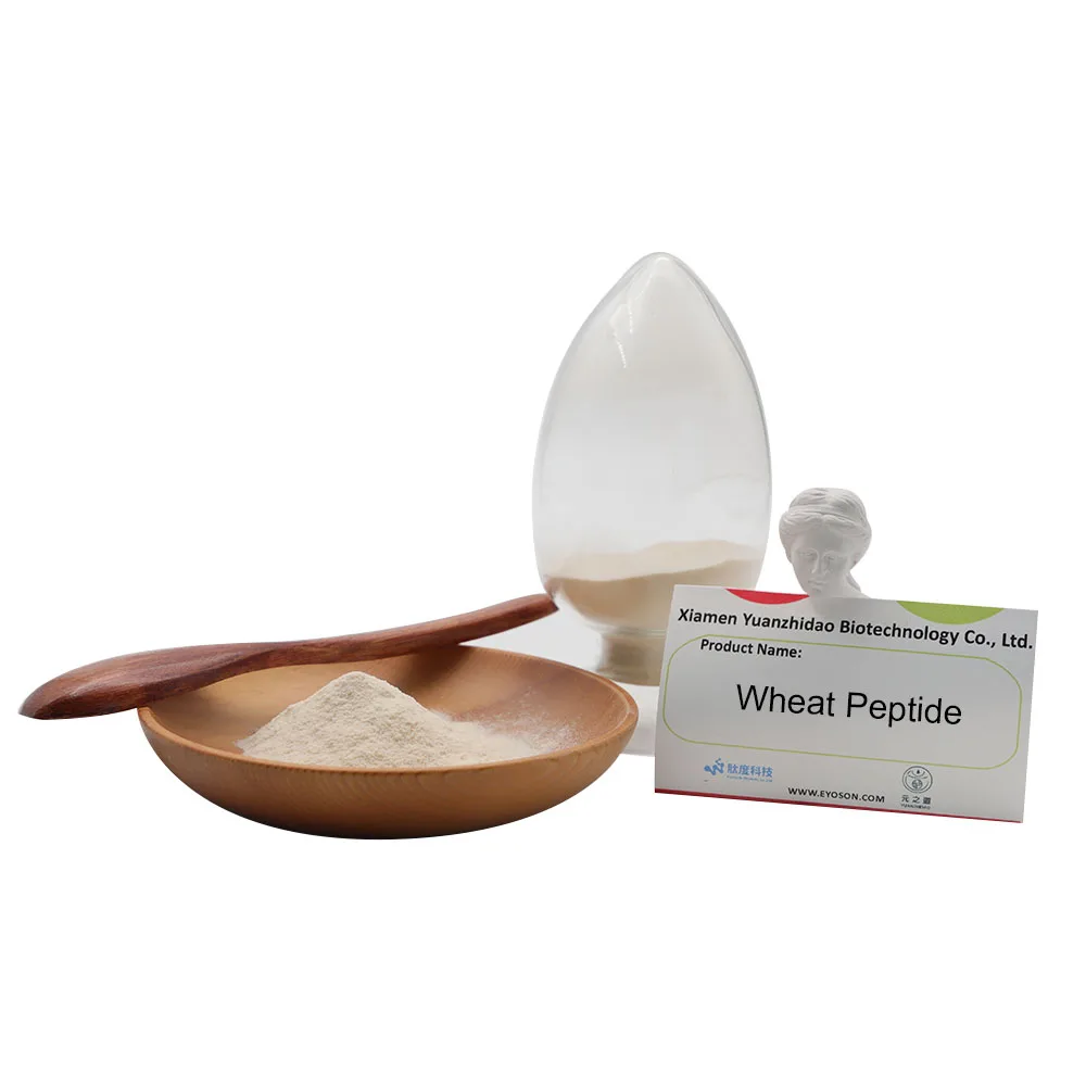 
Factory supply Wheat Peptide Natural Food Additives Premium quality bulk vegan protein blood health 