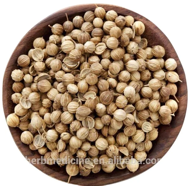 Natural spice Brassica campestris Dried Coriander Fruit