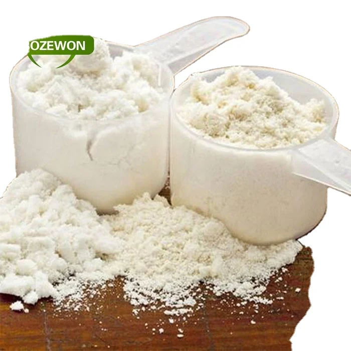 Non-GMO Rice Protein concentrate powder