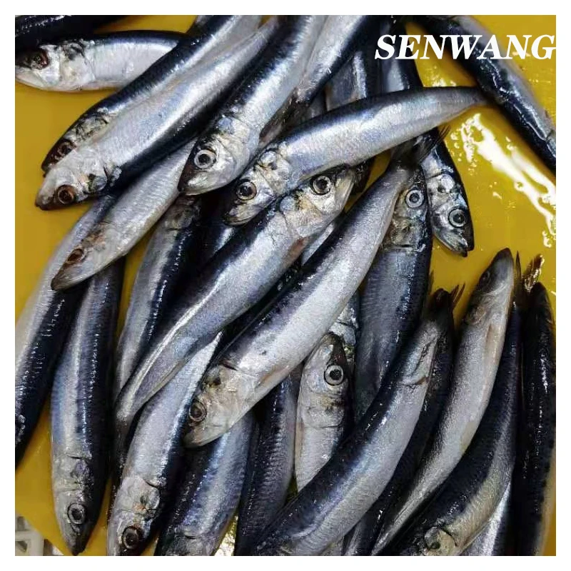 
High quality IQF freshness sardine in fish frozen seafood in bulk HACCP for fishing bait lures raw material 