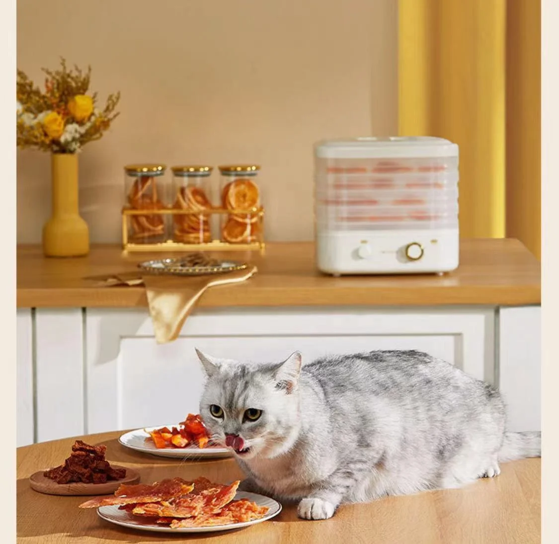 Dried Fruit Machine Household Food Dryer Meat Fruit And Vegetable Food Dehydrator