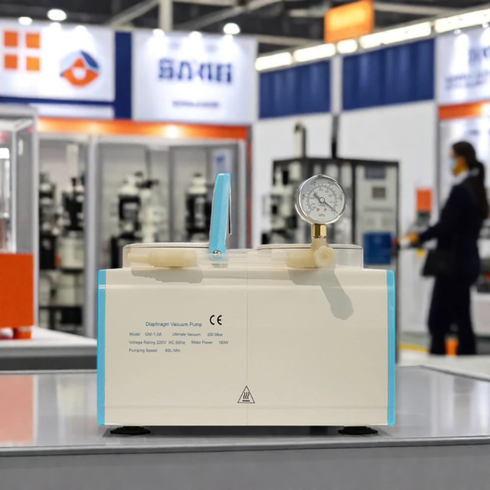 China 2CFM Oil-Free Diaphragm Vacuum Pump Low Maintenance and Price